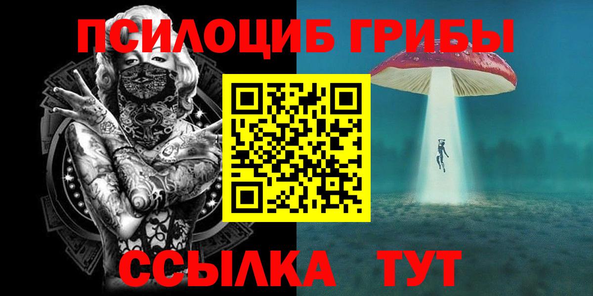 Галлюциногенные грибы Psilocybine cubensis  Вход с VPN  Курчалой 